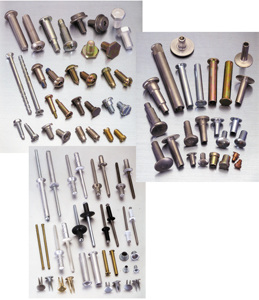 Pengteh Industrial Co., Ltd.</h2><p class='subtitle'>Rivets, screws, and special parts</p>