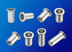 Changing Sun Metal Co., Ltd.</h2><p class='subtitle'>Rivet nuts, studs, stainless steel rivet nuts, aluminum rivet nuts, steel rivet nuts, brass rivet nuts, etc.</p>